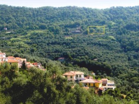 Vasia Liguria