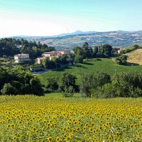 Serrungarina Le Marche