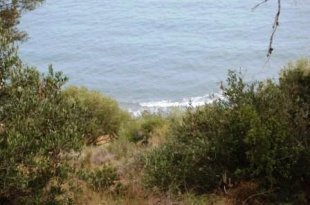 Poggi Liguria