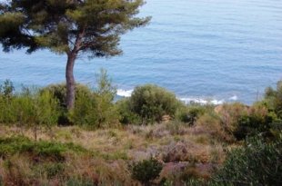 Poggi Liguria