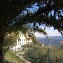 Camporosso Liguria