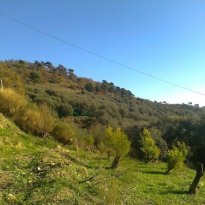 Lingueglietta Liguria