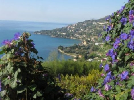 Latte di Ventimiglia Liguria
