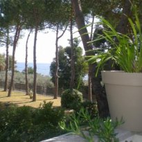Latte di Ventimiglia Liguria