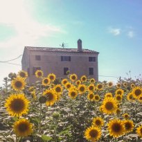 Montappone Le Marche