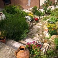 Force Le Marche