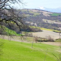 Arcevia Le Marche