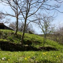 Arcevia Le Marche