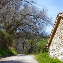 Arcevia Le Marche