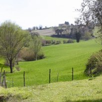 Arcevia Le Marche