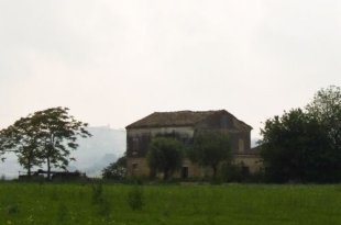 Corrodonia Le Marche