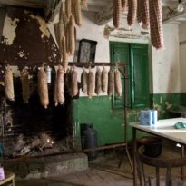 Corrodonia Le Marche
