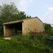 Corrodonia Le Marche