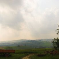 Corrodonia Le Marche