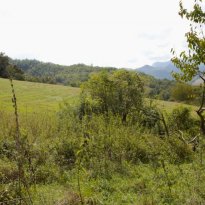 Frontone Le Marche