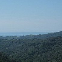 Vasia Liguria
