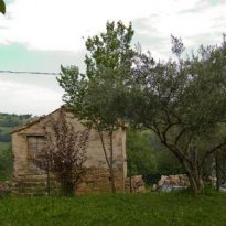 Gualdo Le Marche