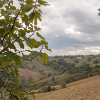 Loro Piceno Le Marche