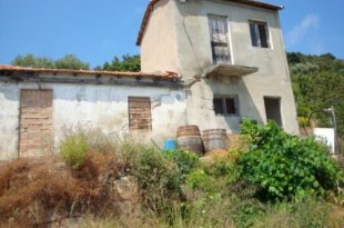 Cipressa Liguria