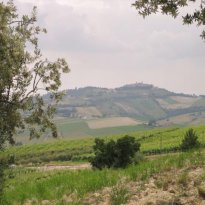 Montalto delle Marche Le Marche