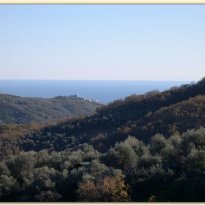 vasia Liguria