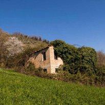 Montalto delle Marche Le Marche
