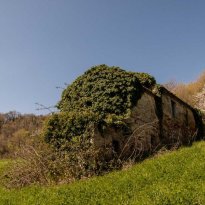 Montalto delle Marche Le Marche