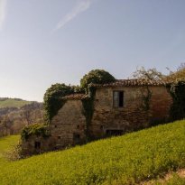 Montalto delle Marche Le Marche