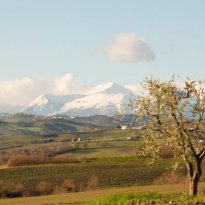 Loro Piceno Le Marche