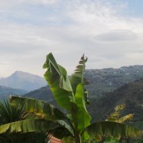 Dolceacqua Liguria