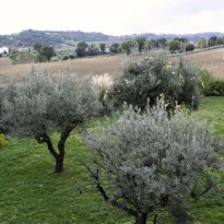 Serra San Quirico Le Marche